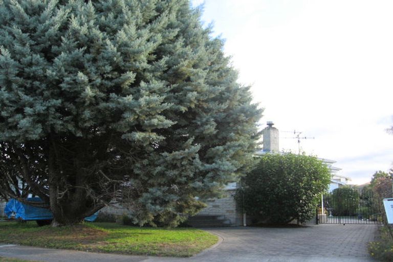 Photo of property in 23b Waterhouse Street, Taradale, Napier, 4112