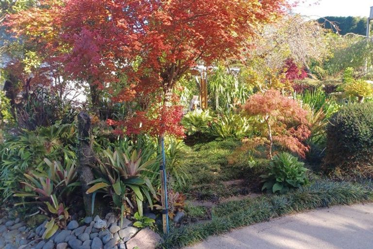 Photo of property in 480b Youngson Road, Whakamarama, 3179