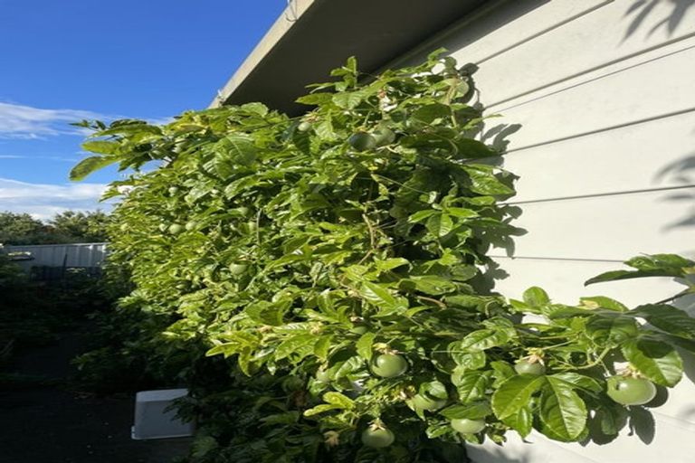 Photo of property in 4 Hillsden Place, Glenwood, Timaru, 7910