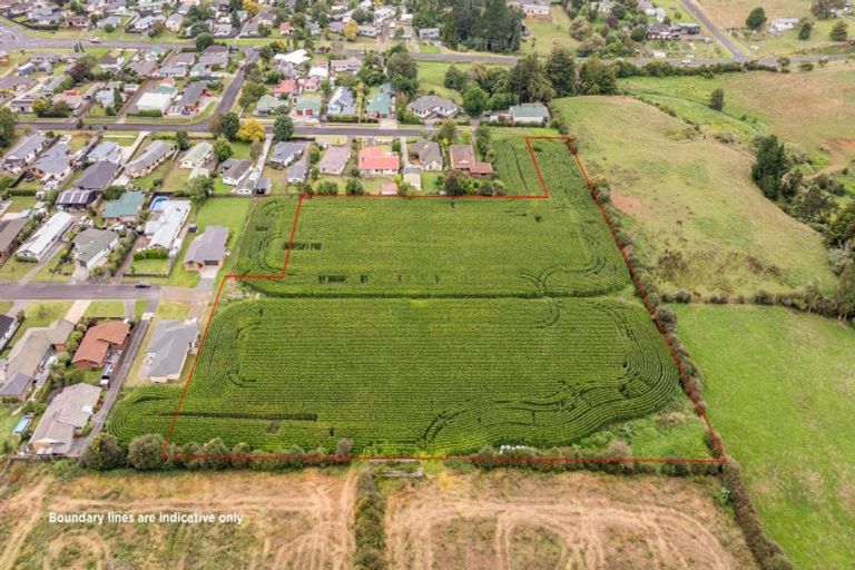 Photo of property in 21 Coolen Place, Tuakau, 2121