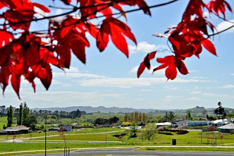 Photo of property in 136 Travers Road, Te Kauwhata, 3710