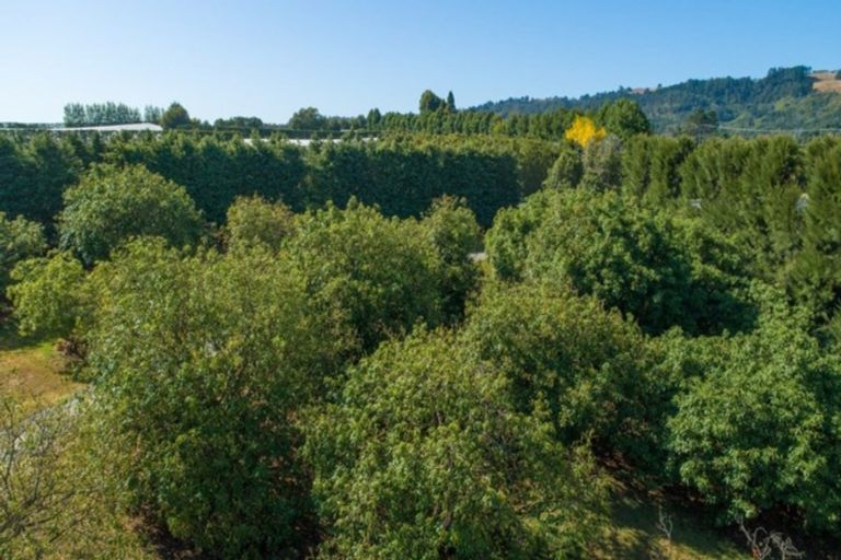 Photo of property in 3 Te Karaka Drive, Te Puna, Whakamarama, 3172