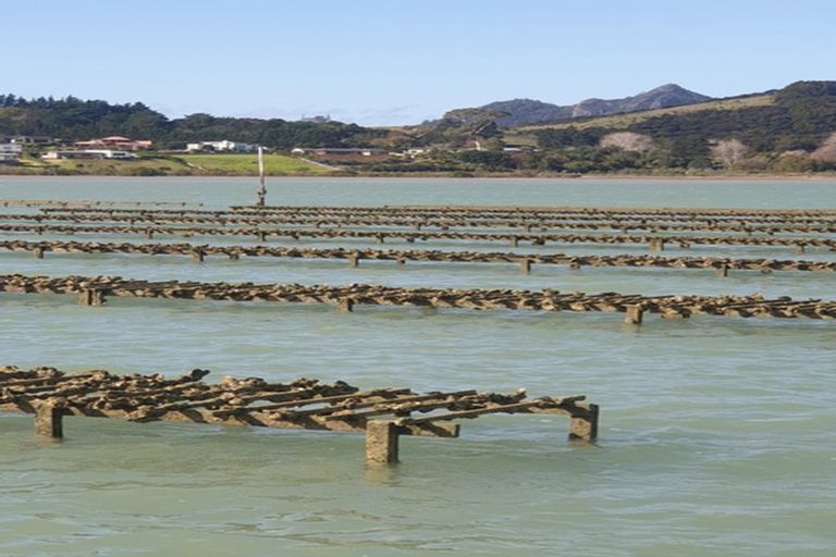 Photo of property in 50 Kiteone Road, Parua Bay, Whangarei, 0174