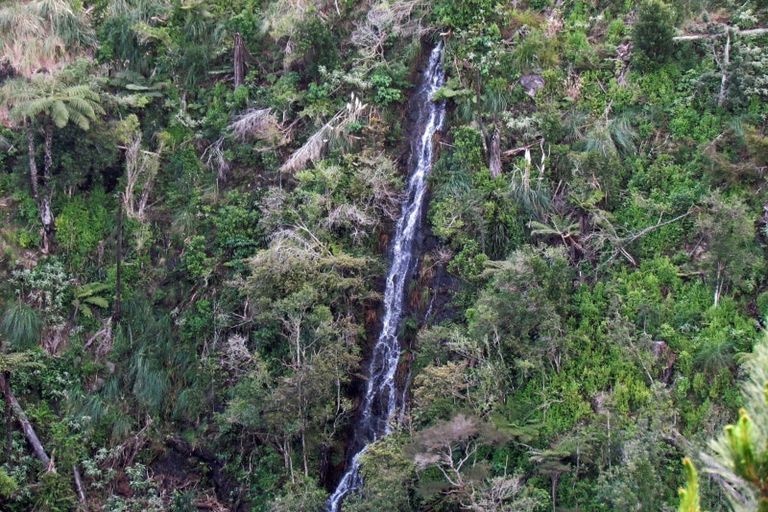 Photo of property in 316b Waitao Road, Waitao, Tauranga, 3175