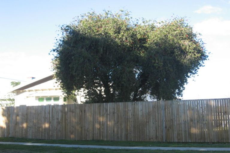 Photo of property in 29 Carnell Street, Napier South, Napier, 4110