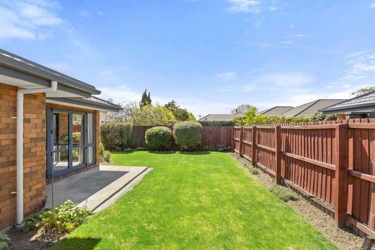 Photo of property in 43 Richards Avenue, Papanui, Christchurch, 8053
