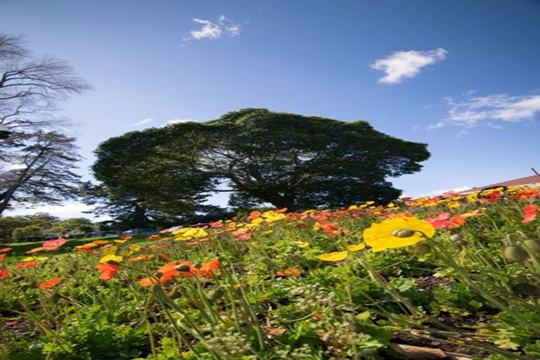 Photo of property in 453 Fraser Street, Parkvale, Tauranga, 3112