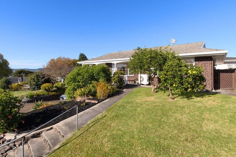 Photo of property in 22b Sixth Avenue, Tauranga, 3110