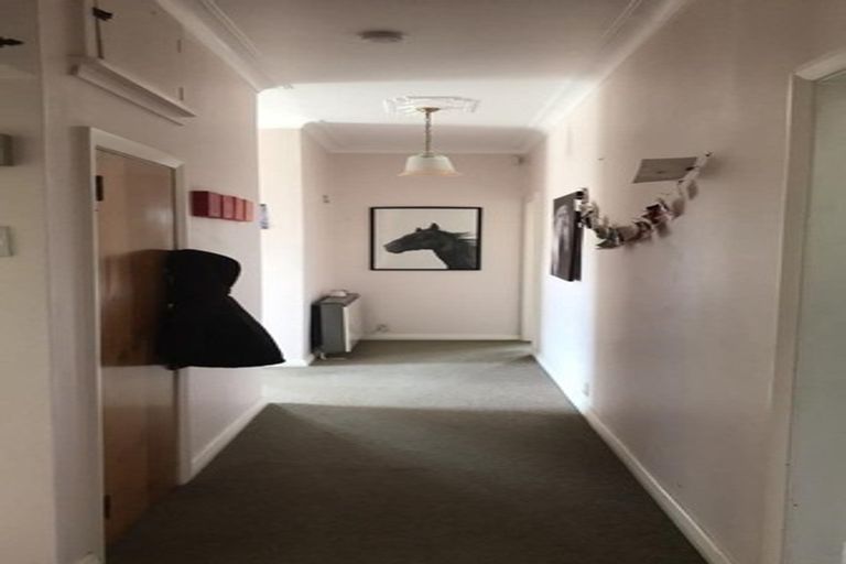 Photo of property in 57 Salisbury Street, Levin, 5510