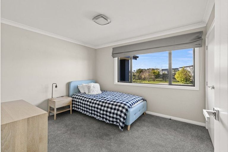 Photo of property in 255 Calico Line, Marton, 4787