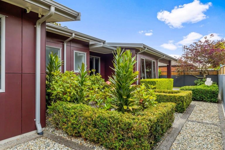 Photo of property in 58d Gilbert Street, New Plymouth, 4310