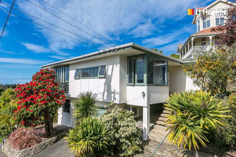Photo of property in 26 Melrose Street, Roslyn, Dunedin, 9010