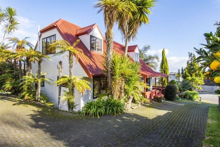 Photo of property in 102 Haukore Street, Hairini, Tauranga, 3112