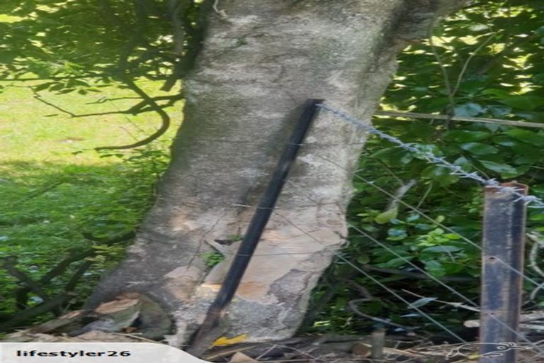 Photo of property in 73 Jacksons Road, Lyttelton, 8082