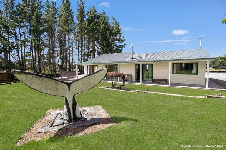 Photo of property in 53 Tawhero Street, Mamaku, 3020