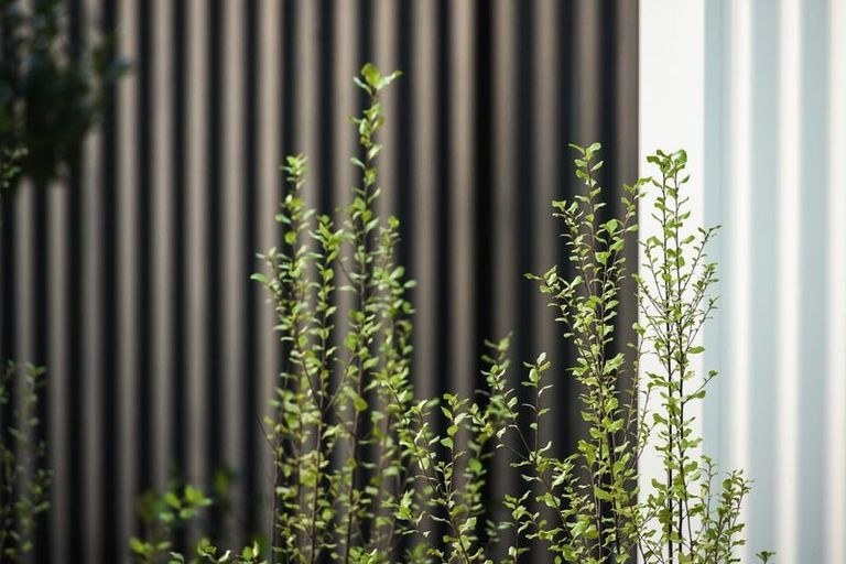 Photo of property in 8 Swift Court, Tauranga South, 3112