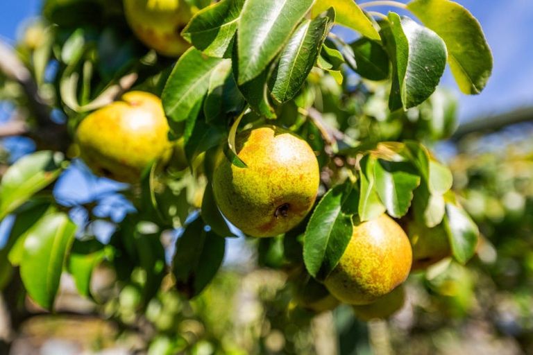 Photo of property in 104 Rarangi Beach Road, Rarangi, Blenheim, 7273