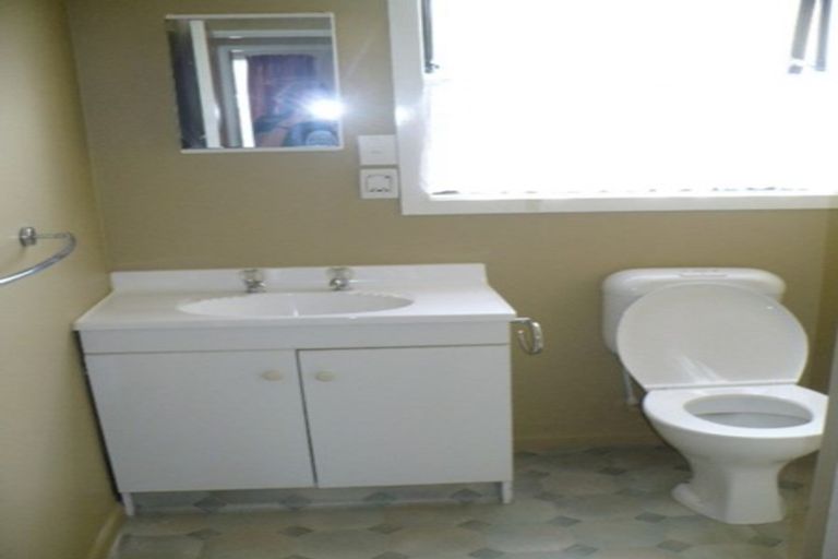 Photo of property in 442b Ruahine Street, Terrace End, Palmerston North, 4410