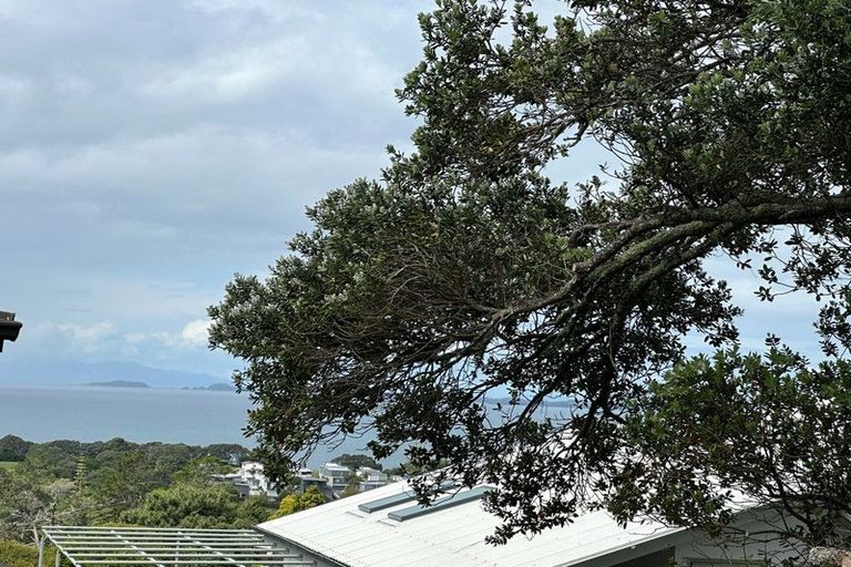 Photo of property in 29 Braemar Road, Castor Bay, Auckland, 0620