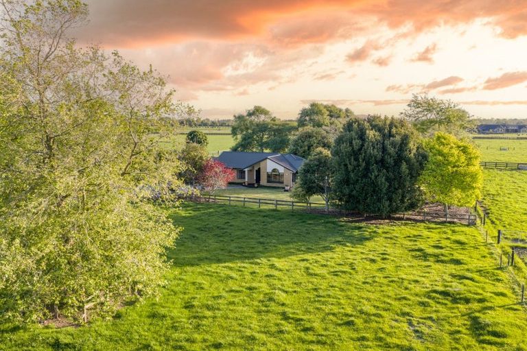 Photo of property in 446 Mystery Creek Road, Ohaupo, 3881