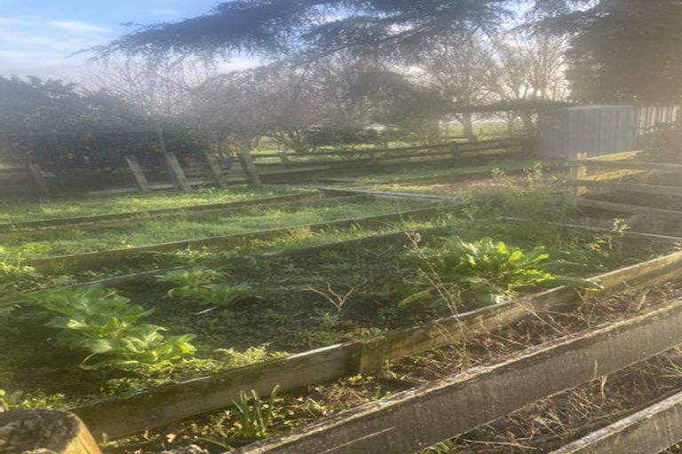 Photo of property in 20 Orongo Road, Orongo, Thames, 3574