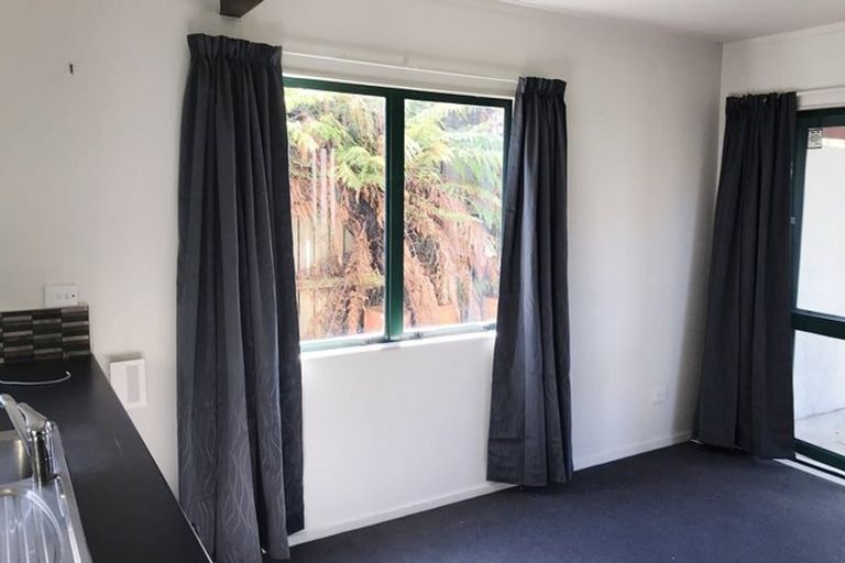 Photo of property in 33a Willoughby Street, Whitiora, Hamilton, 3200