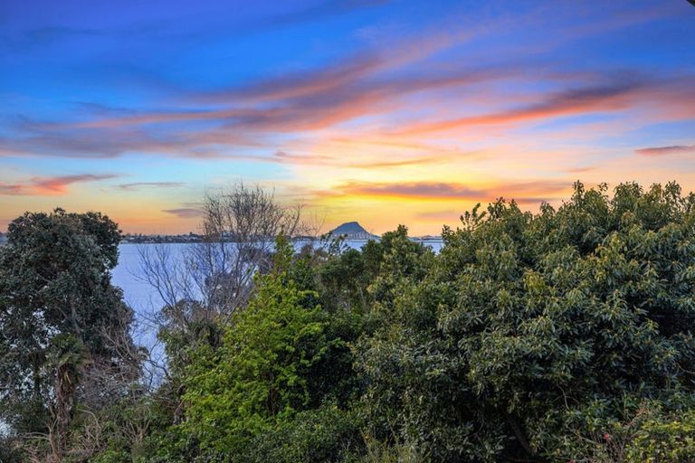 Photo of property in 244 Maungatapu Road, Maungatapu, Tauranga, 3112