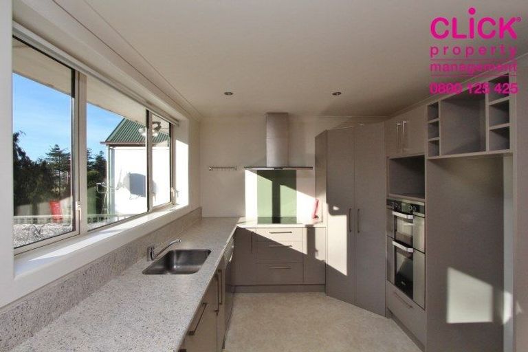 Photo of property in 113 Balmacewen Road, Wakari, Dunedin, 9010