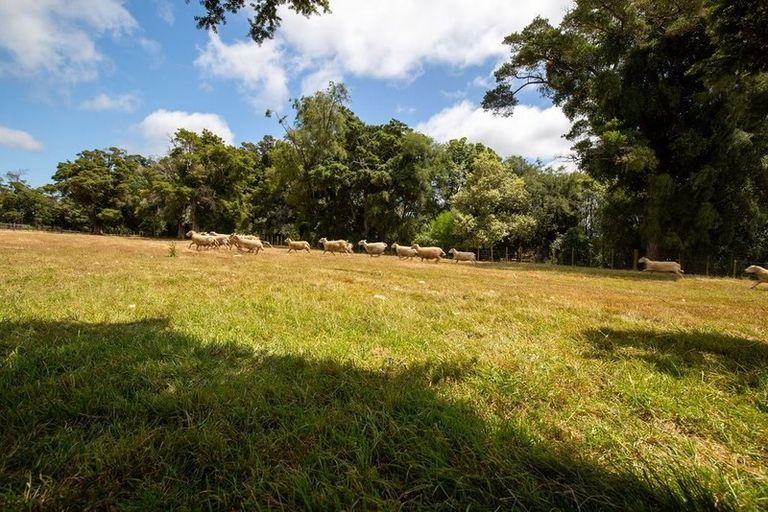 Photo of property in 169 Teapot Valley Road, Brightwater, 7091