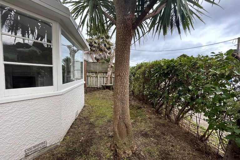 Photo of property in 8 Clunie Avenue, Raumati South, Paraparaumu, 5032