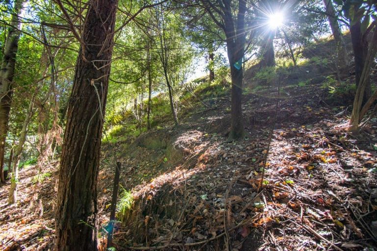 Photo of property in 104 Sandon Road, Feilding, 4702