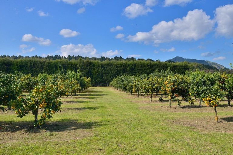 Photo of property in 271 Harper Road, Makauri, Gisborne, 4071