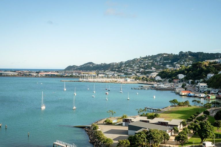 Photo of property in 29 Treasure Grove, Hataitai, Wellington, 6021