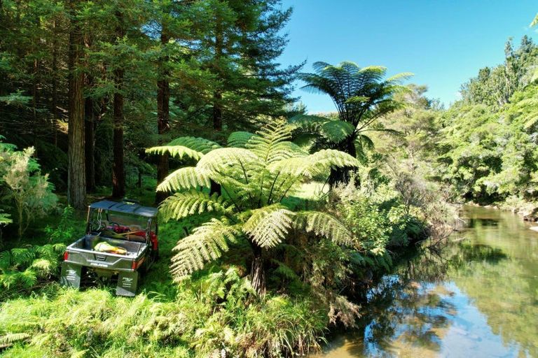 Photo of property in 262 Wainui Road South, Whakamarama, Katikati, 3181