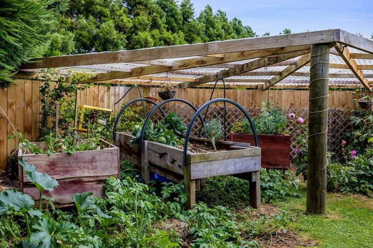 Photo of property in 244 Maata Road, Eltham, 4398