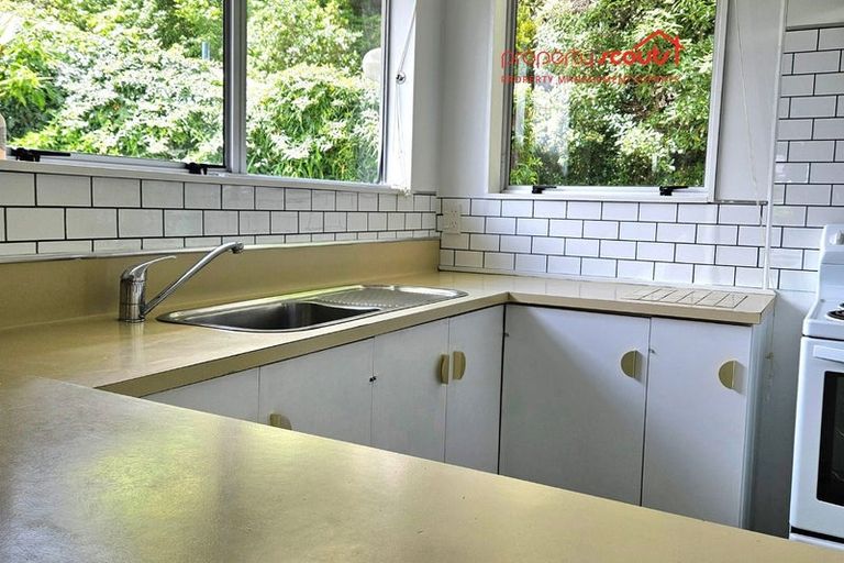 Photo of property in 19 Mamaku Street, Paraparaumu, 5032