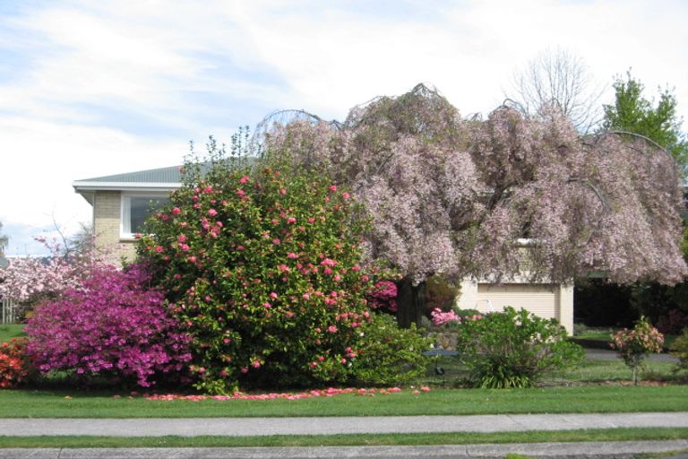 Photo of property in 23 Kaka Street, Taupo, 3330