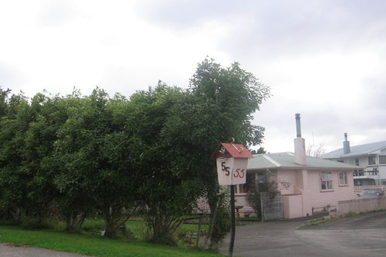 Photo of property in 55 Botanical Road, Takaro, Palmerston North, 4412