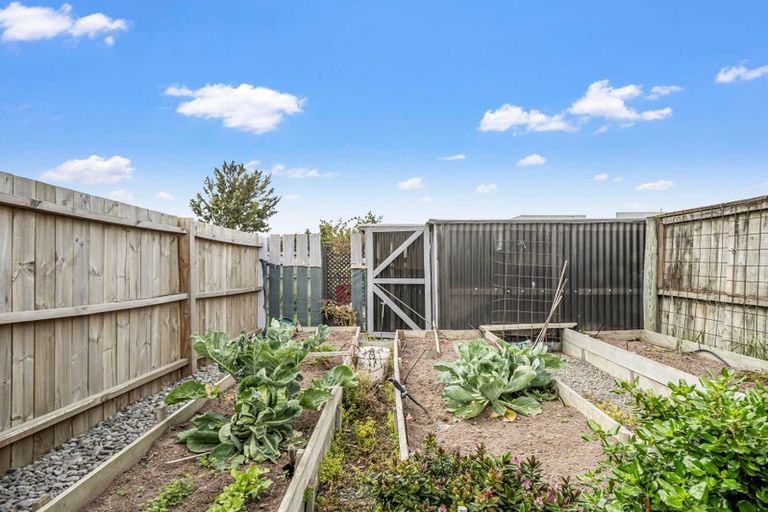 Photo of property in 14 Clifford Place, Amberley, 7410