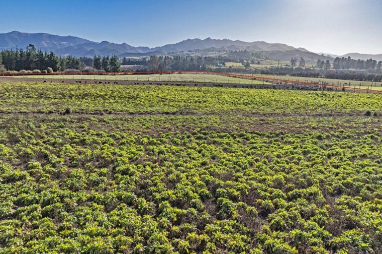 Photo of property in 84 Woodside Road, Matangi, Hamilton, 3284