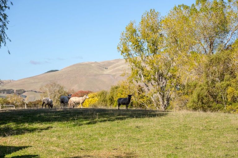 Photo of property in 205 Caveland Road, Te Whiti, Masterton, 5884