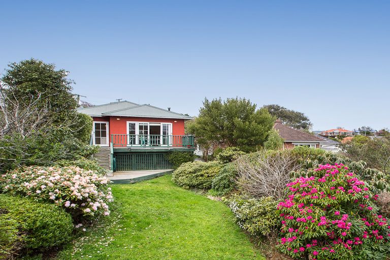 Photo of property in 58 Spottiswoode Street, Tainui, Dunedin, 9013