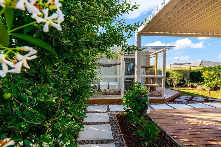 Photo of property in 158 Rimu Street, Te Kauwhata, 3710