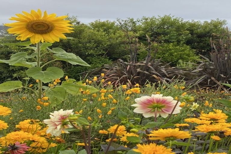 Photo of property in 15 Wrathall Road, Mangonui, 0420