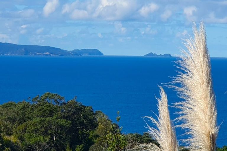 Photo of property in 457 Tuateawa Road, Tuateawa, Coromandel, 3583