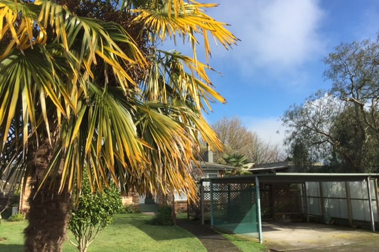 Photo of property in 12 Vincent Street, Matamata, 3400