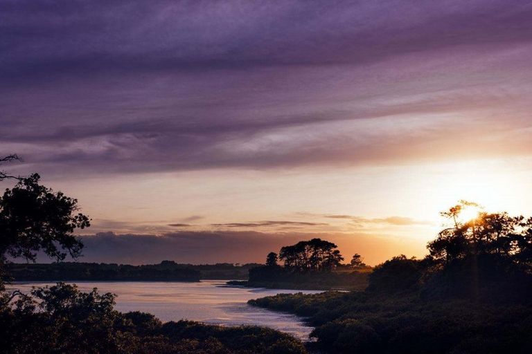 Photo of property in 1 Okohaka Avenue, Glenbrook, 2681