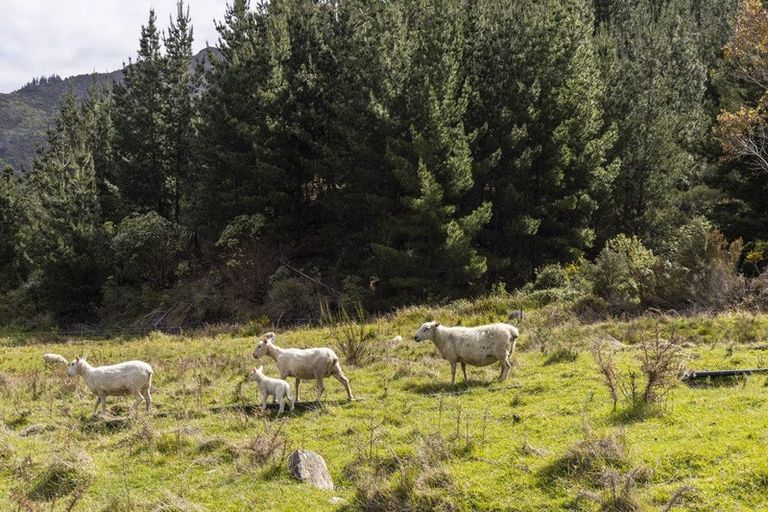 Photo of property in 300 State Highway 1, Mount Pleasant, Blenheim, 7273