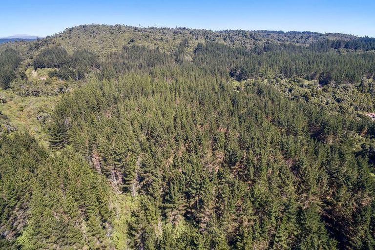 Photo of property in 594 Rutherglen Road, Marsden, Greymouth, 7872