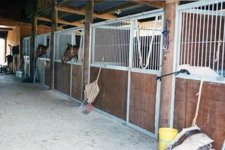 Photo of property in 119 Saint Marys Road, Waipu, 0582